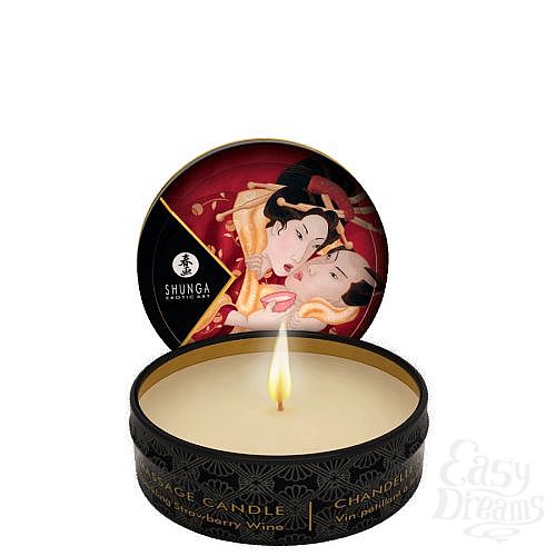 ���������� 3  ���������� ����� GEISHA