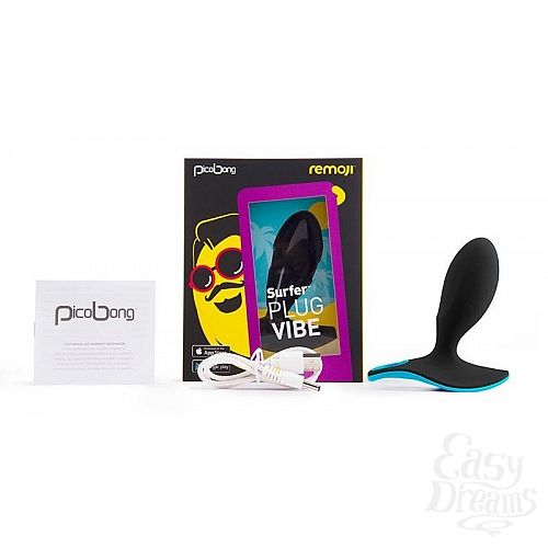  4  ׸   SURFER PLUG VIBE    