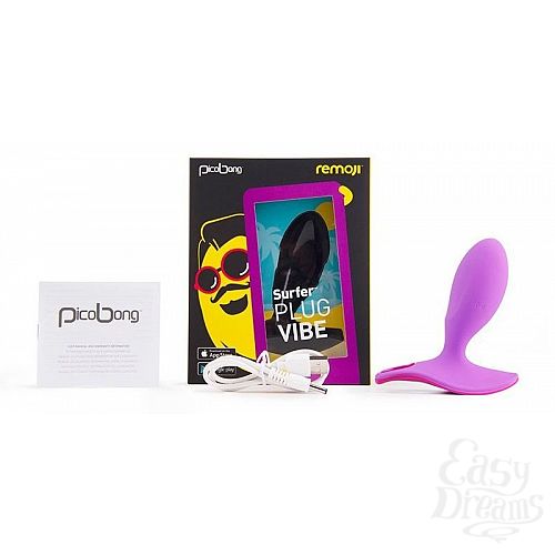  4     SURFER PLUG VIBE    