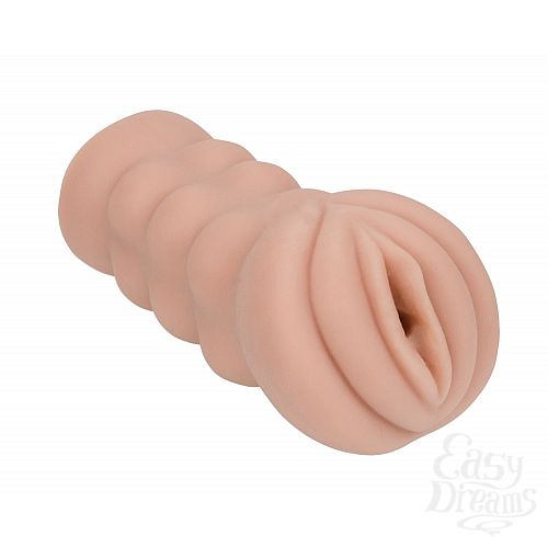 ���������� 1:  ����������� Satisfaction Honey Pot 2001-02Lola, ��������