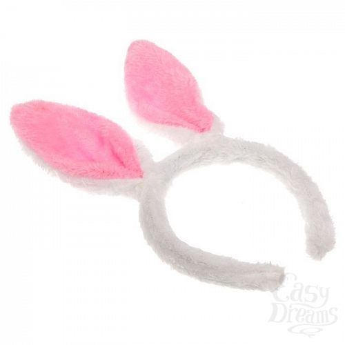 ���������� 2  ����� ��� ��������  �����-������� 