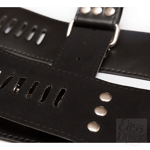 ���������� 4  �������� ����: ���������, ����������� � ��������