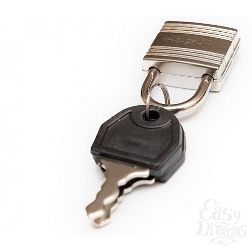 ���������� 5  �������� ����: ���������, ����������� � ��������