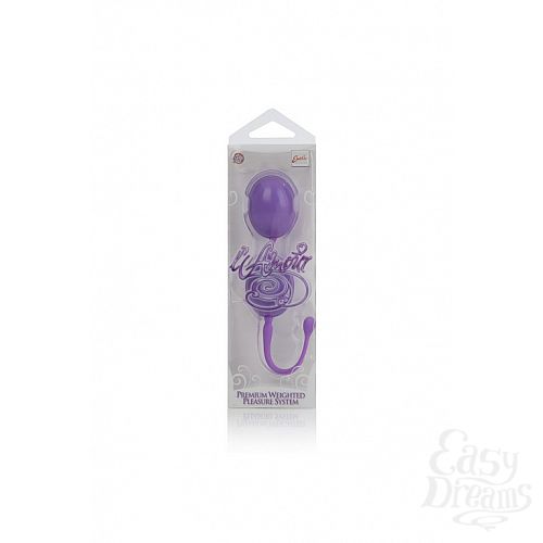  3      L AMOURP.W.PLESRSYSPURPLE
