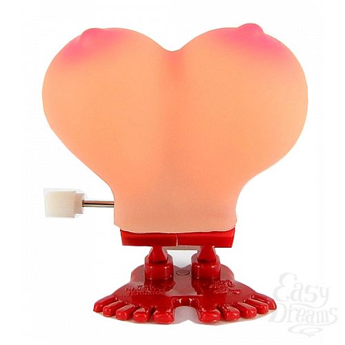 ���������� 1:  �����-��������  