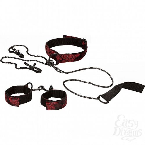  2      Scandal Submissive Kit