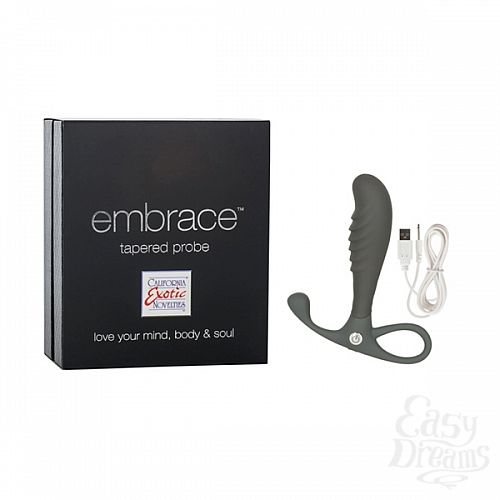 ���������� 2  �������� �������� � ��������� Embrace Tapered Probe, 10 ��. 