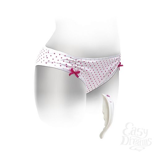 ���������� 1:  ������� � ����������� ���������� Elite, XL, �����