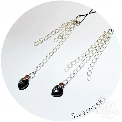 ���������� 1:  ��������� ��� ����� � ����������� Swarovski