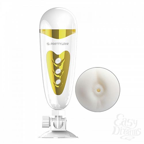 ���������� 1:  ����-����������� ���� Sally � ��������� � �������