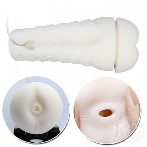 ���������� 3  ����-����������� ���� Sally � ��������� � �������