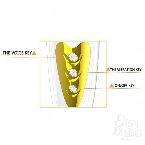 ���������� 7  ����-����������� ���� Sally � ��������� � �������