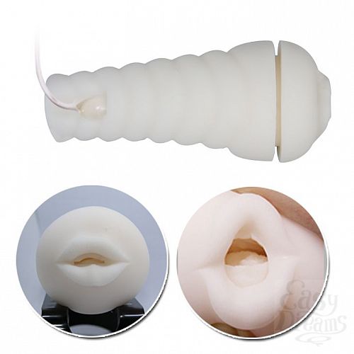 ���������� 3  ����-����������� ����� Sally � ��������� � �������