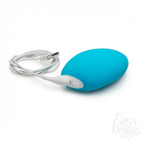  3    - We-Vibe Wish, 