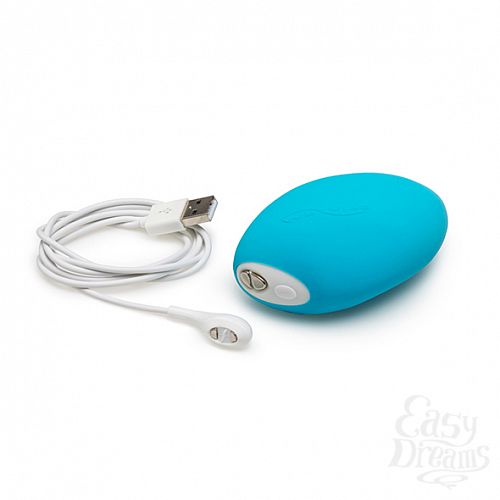  4    - We-Vibe Wish, 