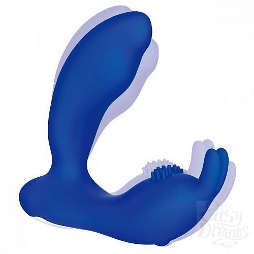  2     Prostate Rabbit     