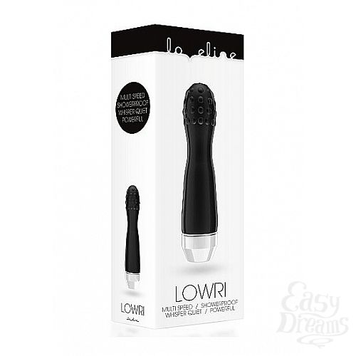  3  ׸  Lowri     - 15 .