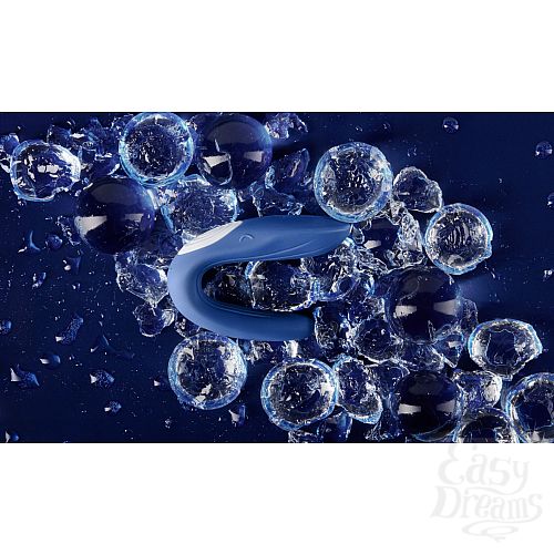 ���������� 5  �������� ��� ��� - Partner Whale , �����