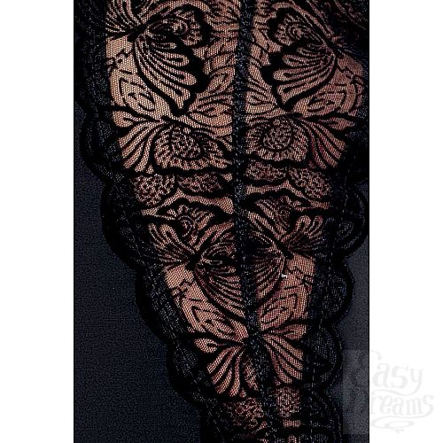 ���������� 2  ���������� ���� Kalia � ��������