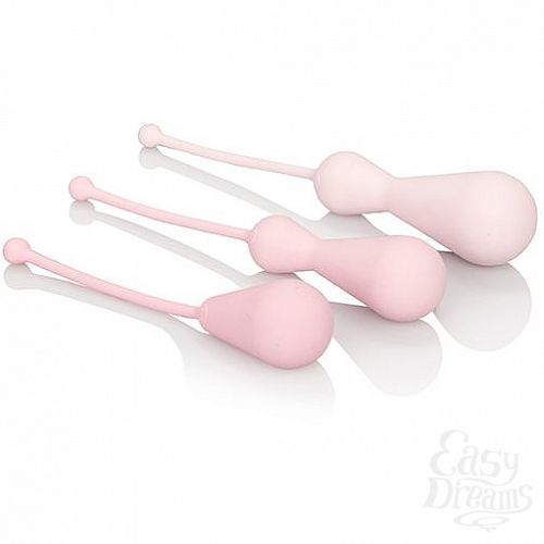 ���������� 1:  ����� Inspire Weighted Kegel Training Kit, 3.75 ��. 
