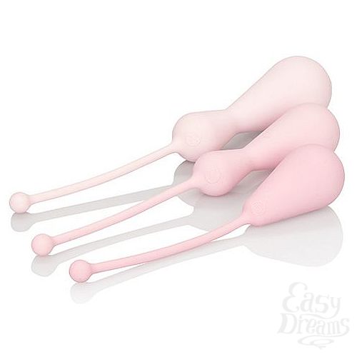 ���������� 3  ����� Inspire Weighted Kegel Training Kit, 3.75 ��. 