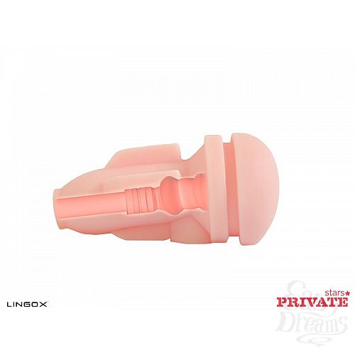 ���������� 6  �����������-���� Private Anna Rose Ass � ���� � ��������� ��� ������� ��������