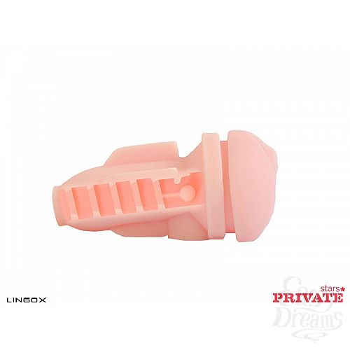 ���������� 5  �����������-������ Private Anna Rose Vagina � ���� � ��������� ��� ������� ��������