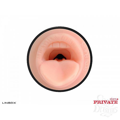 ���������� 2  �����������-����� Private Anny Aurora Mouth � ���� � ��������� ��� ������� ��������