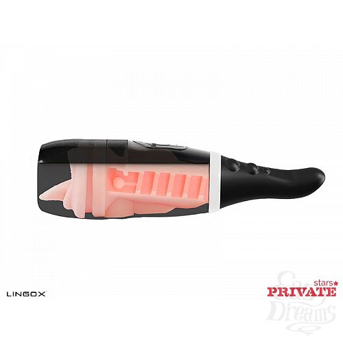 ���������� 3  �����������-����� Private Anny Aurora Mouth � ���� � ��������� ��� ������� ��������