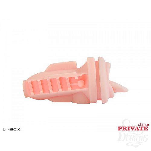 ���������� 6  �����������-����� Private Anny Aurora Mouth � ���� � ��������� ��� ������� ��������