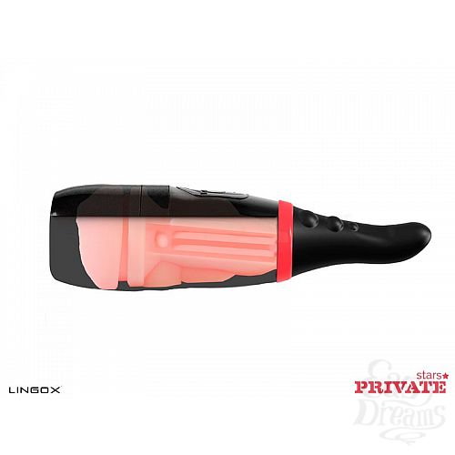 ���������� 6  �����������-������ Private Anny Aurora Vagina � ���� � ��������� ��� ������� ��������