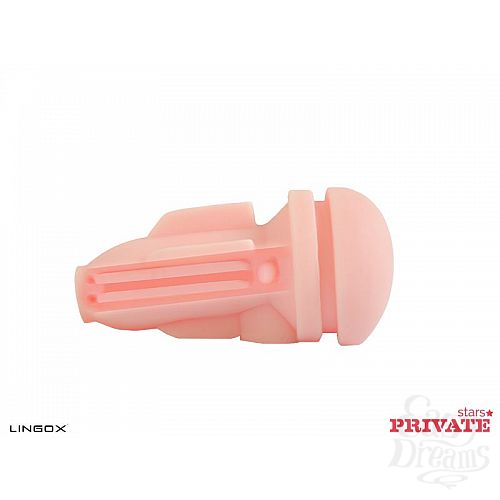 ���������� 6  �����������-���� Private Lexi Lowe Ass � ���� � ��������� ��� ������� ��������