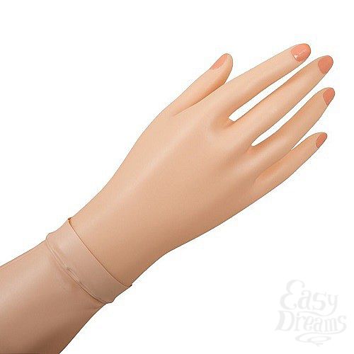 ���������� 4  ����-����� Juicy Jill - Orion, ��������