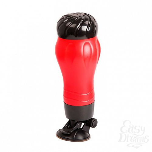 ���������� 2  �����������-���� Crazy Bull FLORA � ��������� � ��������� ��������������