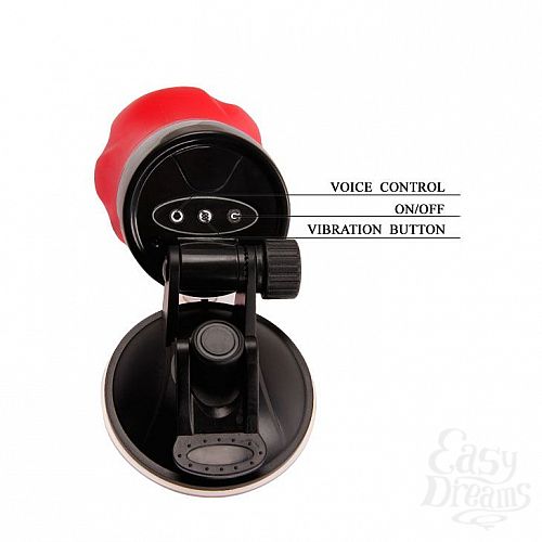 ���������� 6  �����������-���� Crazy Bull FLORA � ��������� � ��������� ��������������