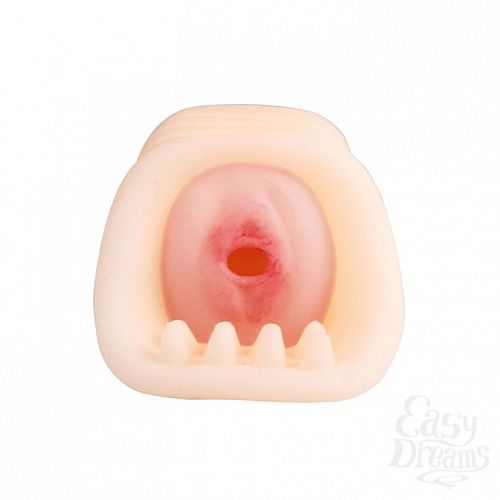 ���������� 2  �����������-������ � ��������� � �������� �� �����