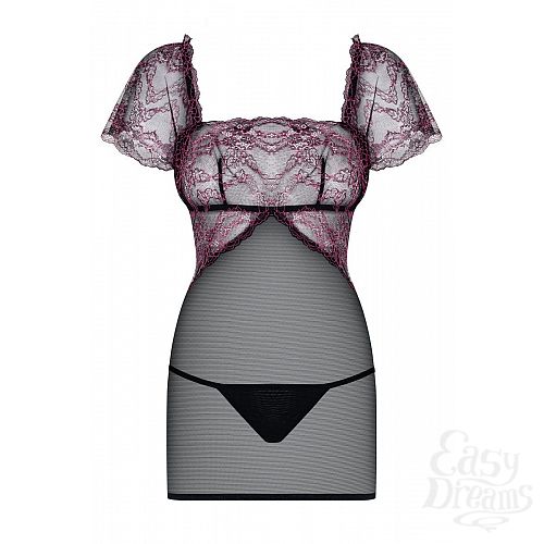 ���������� 3  ��������������� ������� Sedusia � ���������� ����������� 