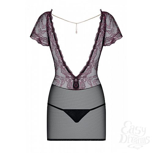 ���������� 4  ��������������� ������� Sedusia � ���������� ����������� 