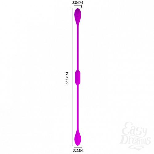  5      Dream Lovers Whip