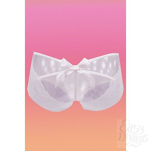 ���������� 5  ������� Fanny � ��������� � ������������ ������