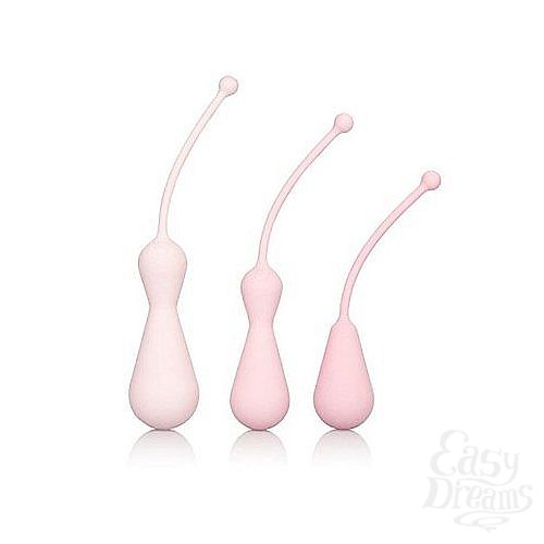���������� 2  ����� ���������� ������ Inspire Kegel Trainig Kit, 3 ��., �������