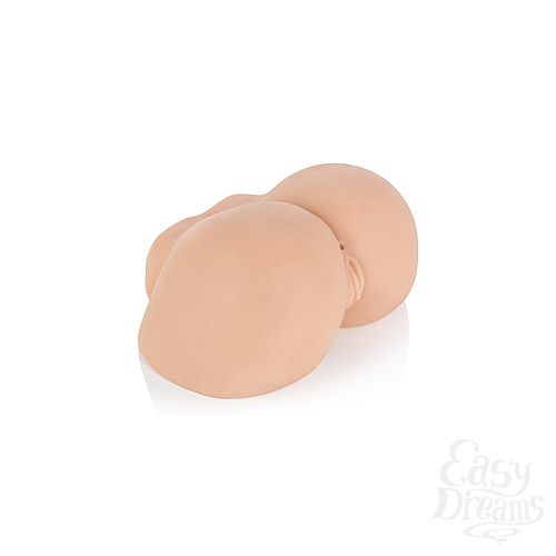 ���������� 2  �����������-����� Vivid Raw Assterbator 