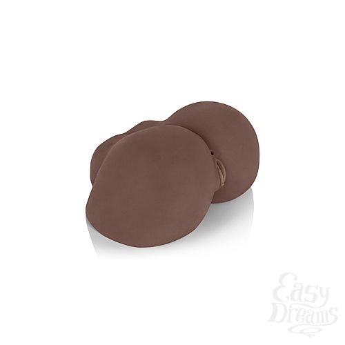 ���������� 2  �����������-������� Vivid Raw Baby Got Back 