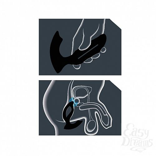 ���������� 3  ���������� �������� Xpander X2 Large �� JoyDivision, 11.5 ��. 