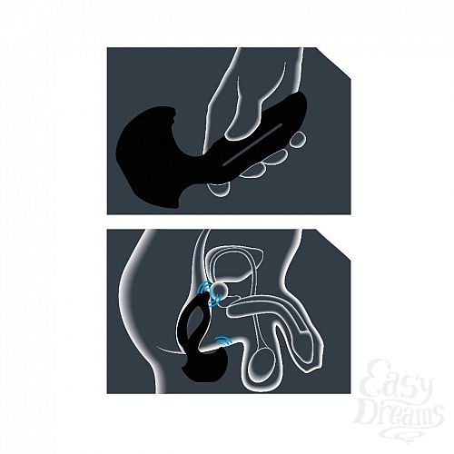 ���������� 2  ���������� �������� Xpander X3 Large �� JoyDivision, 11.5 ��., ������