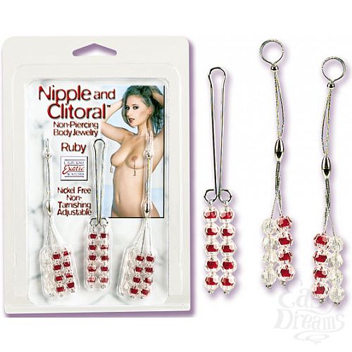 ���������� 1:  ����� �� ������� ���� � �������� ��������