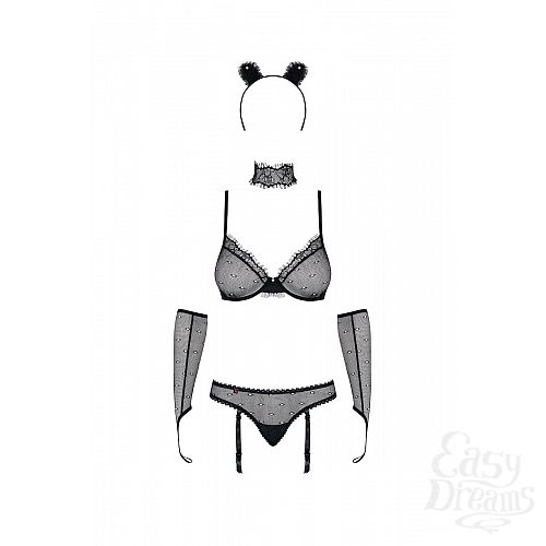 ���������� 5  ������� ������ ������