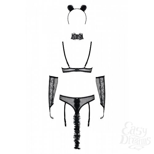 ���������� 6  ������� ������ ������