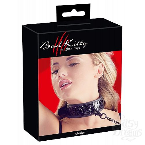  4        Collar with Leash