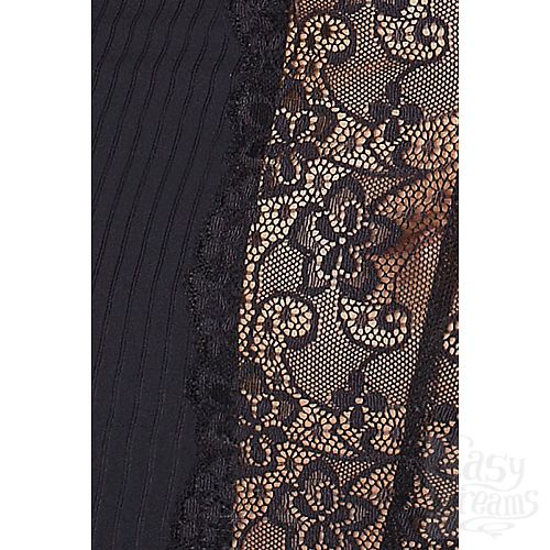 ���������� 3  ���������� ������� �� ��������� �� ������ Zoja